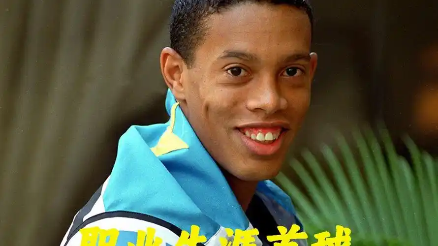 领域的佼佼